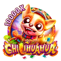 CHILIHUAHUA - AUTOCUAN777