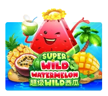 Super Wild Watermelon - AUTOCUAN777