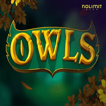 Owls - AUTOCUAN777